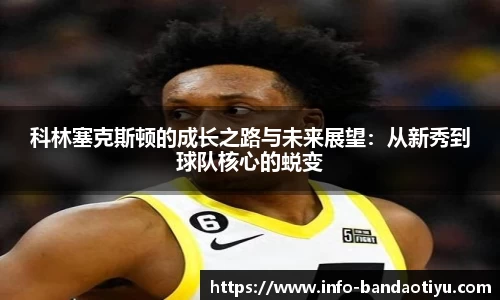 bob半岛