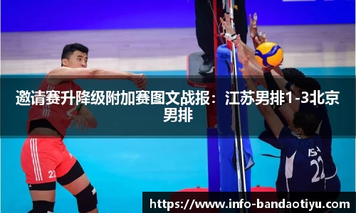 bob半岛